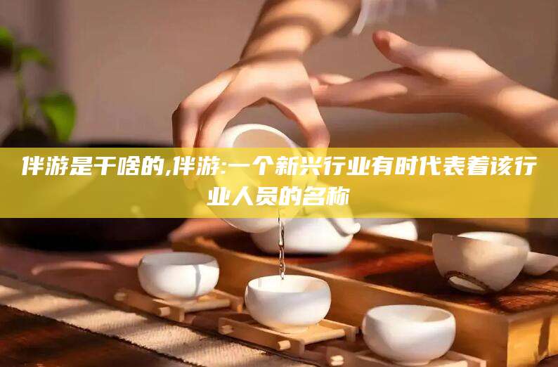 兰考伴游是干啥的,伴游:一个新兴行业有时代表着该行业人员的名称